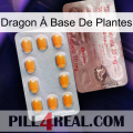 Dragon À Base De Plantes new13